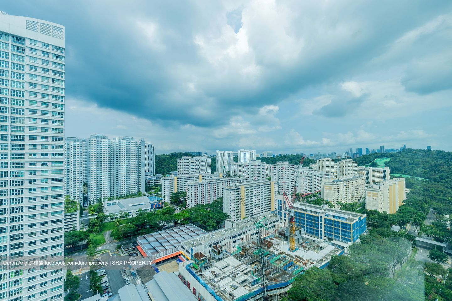 Skyline Residences (D4), Condominium #581128341